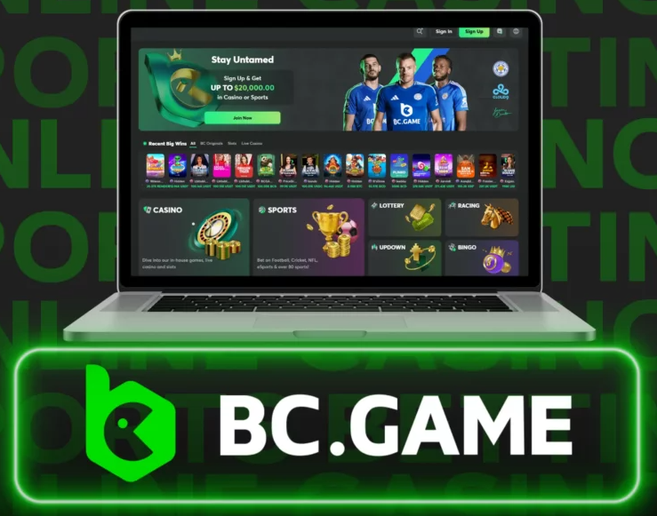 Discover the Thrilling Universe of BC Game